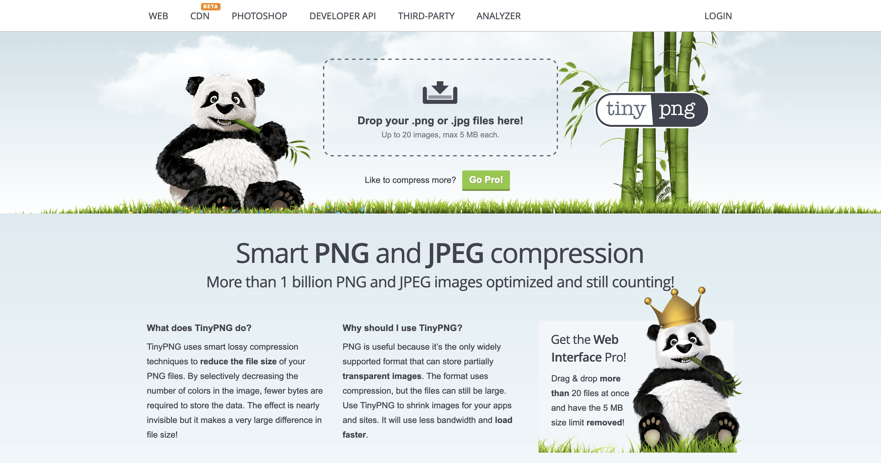 The TinyPNG home page.